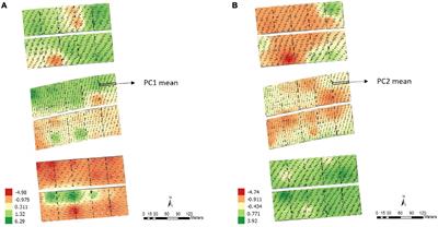 Novel Tools for Adjusting Spatial Variability in the Early Sugarcane Breeding Stage